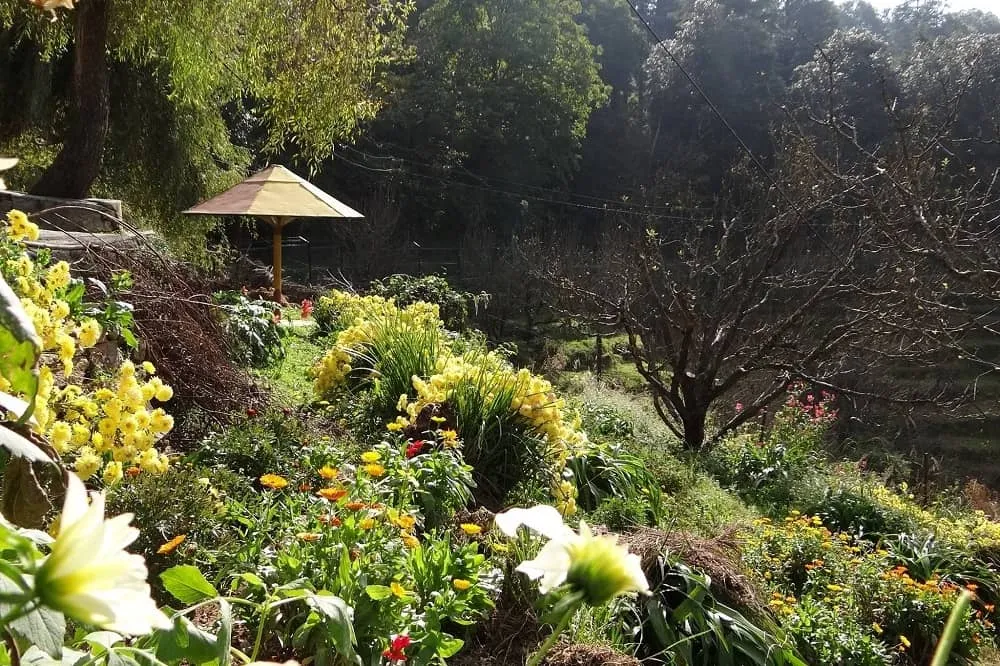 Chaubatia Garden