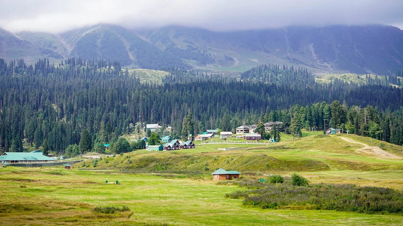 Gulmarg Meadows