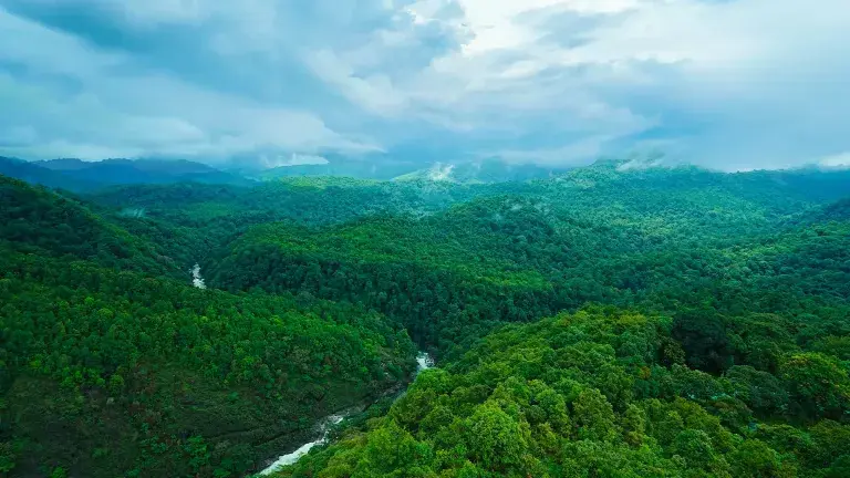 Silent Valley National Park