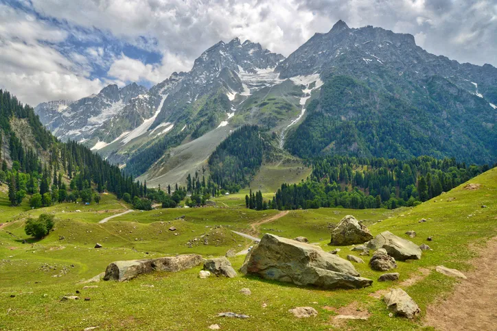 Sonamarg Meadows