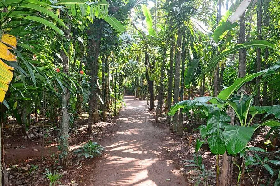 Spice Plantations