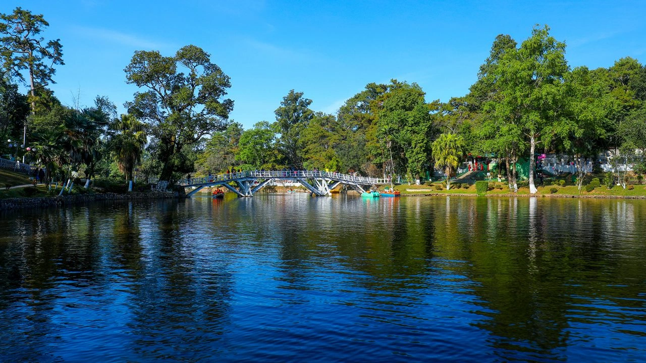 Ward?s Lake