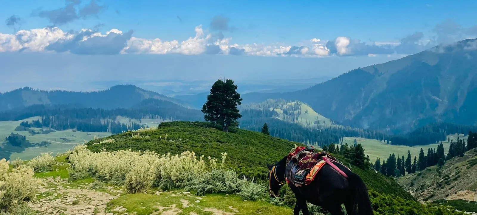 Yusmarg Meadows